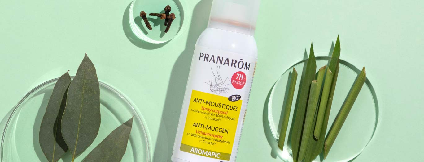 Piqûres et insectes