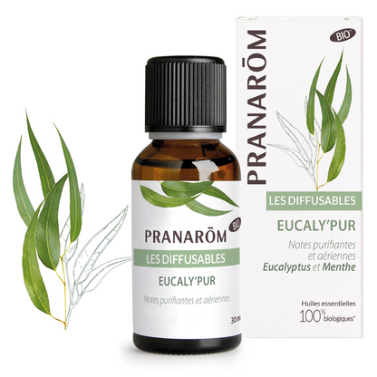 Eucaly&
