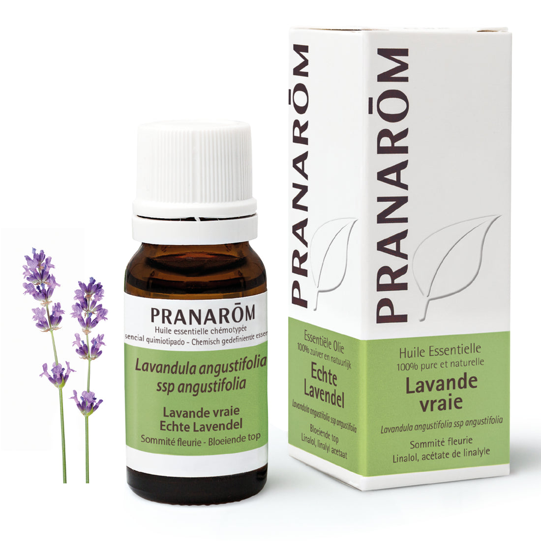 Lavendel - Ätherische Öle zur Diffusion - 10ml