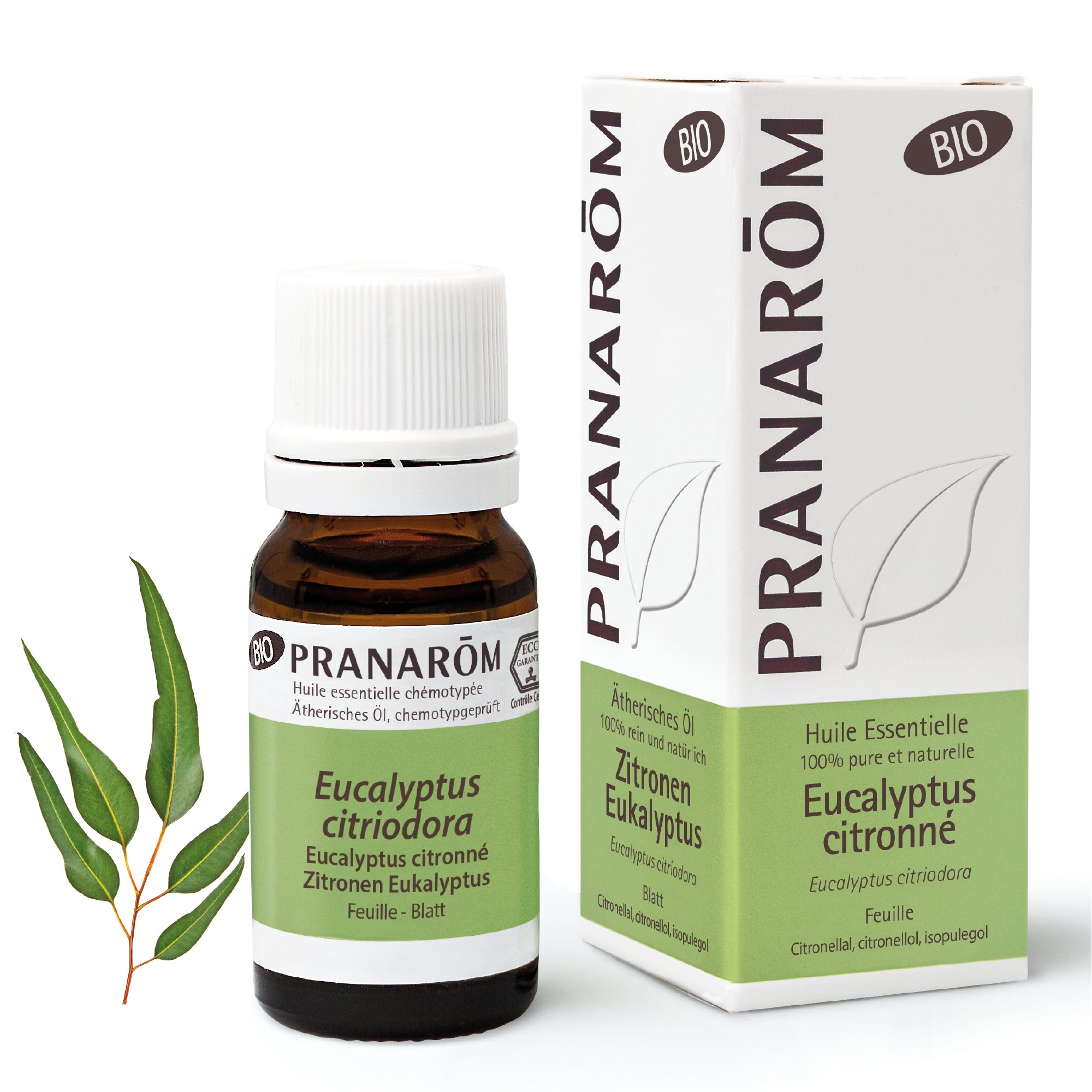 Eucalyptus Citronné Feuille BIO - Huiles essentielles pour diffusion - 10ml