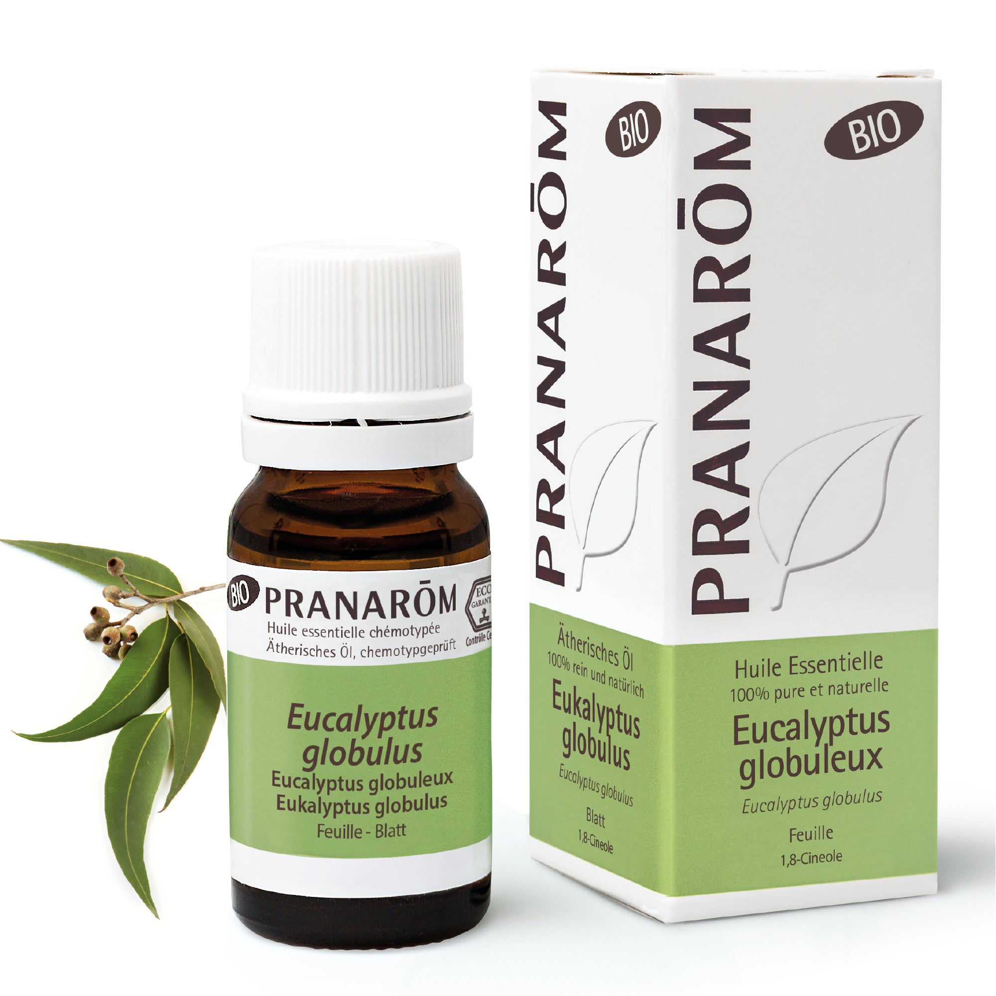 Eucalyptus Globuleux Feuille BIO - Huiles essentielles pour diffusion - 10ml