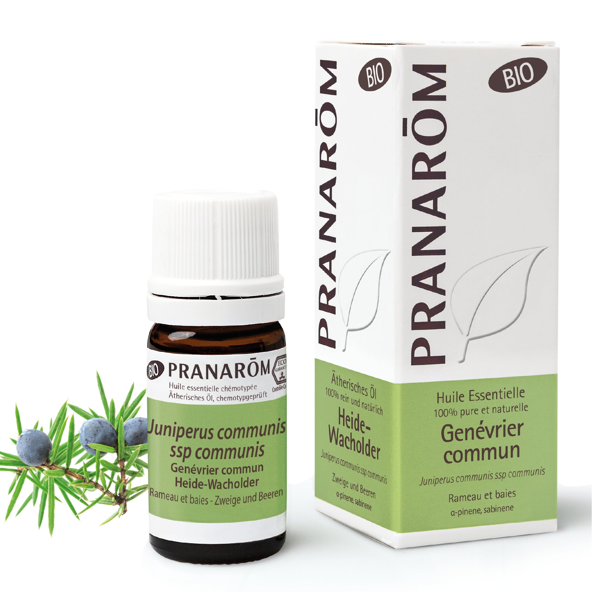 Genévrier commun - Rameau et baies BIO - Huiles essentielles pour diffusion - 5ml