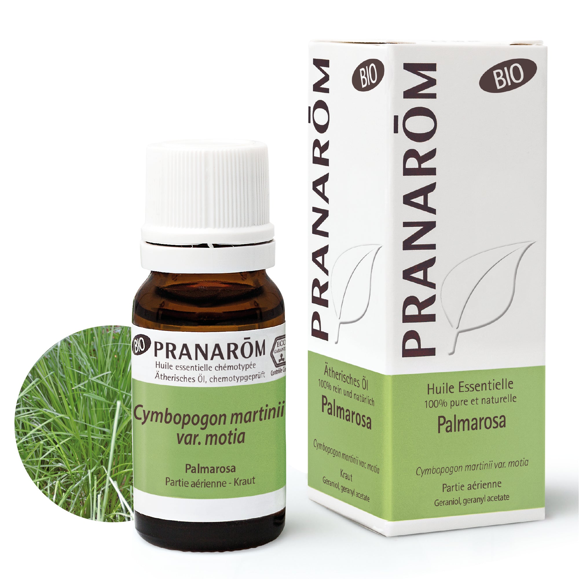 Palmarosa Partie aérienne BIO - Huiles essentielles pour diffusion - 10ml