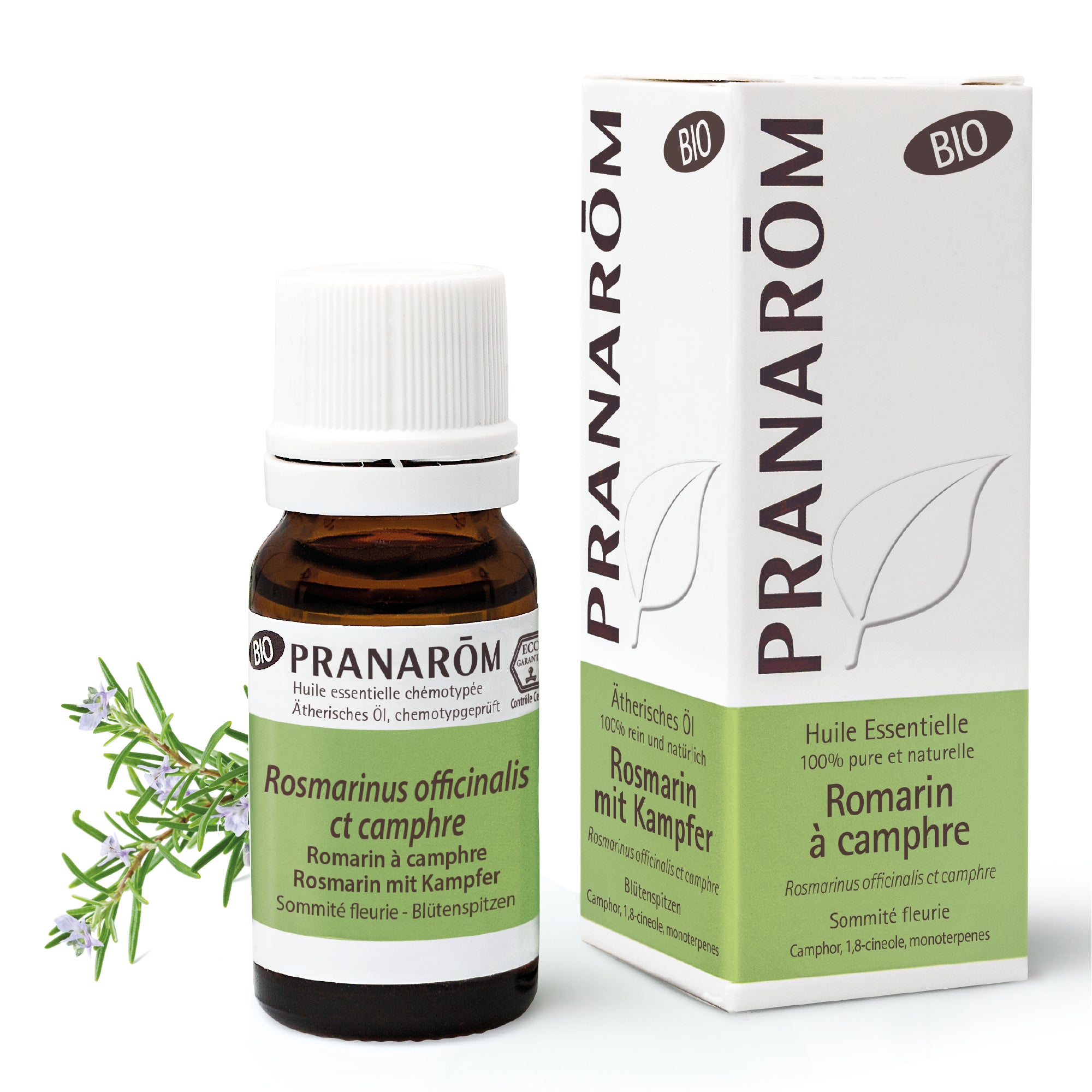 Romarin à Camphre - Sommité fleurie BIO - Huiles essentielles pour diffusion - 10ml