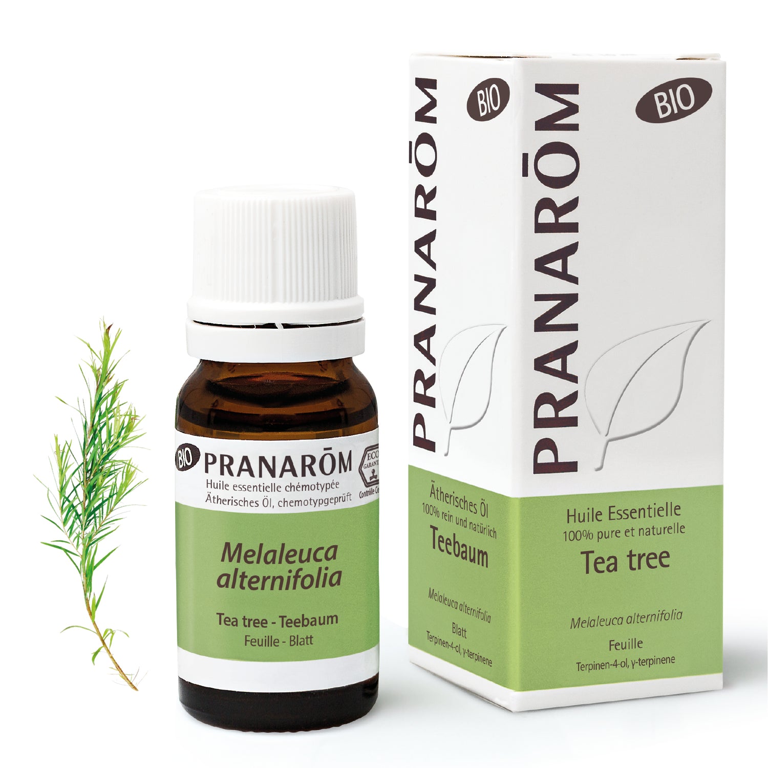 Tea-Tree Feuille BIO - Huiles essentielles pour diffusion - 10ml